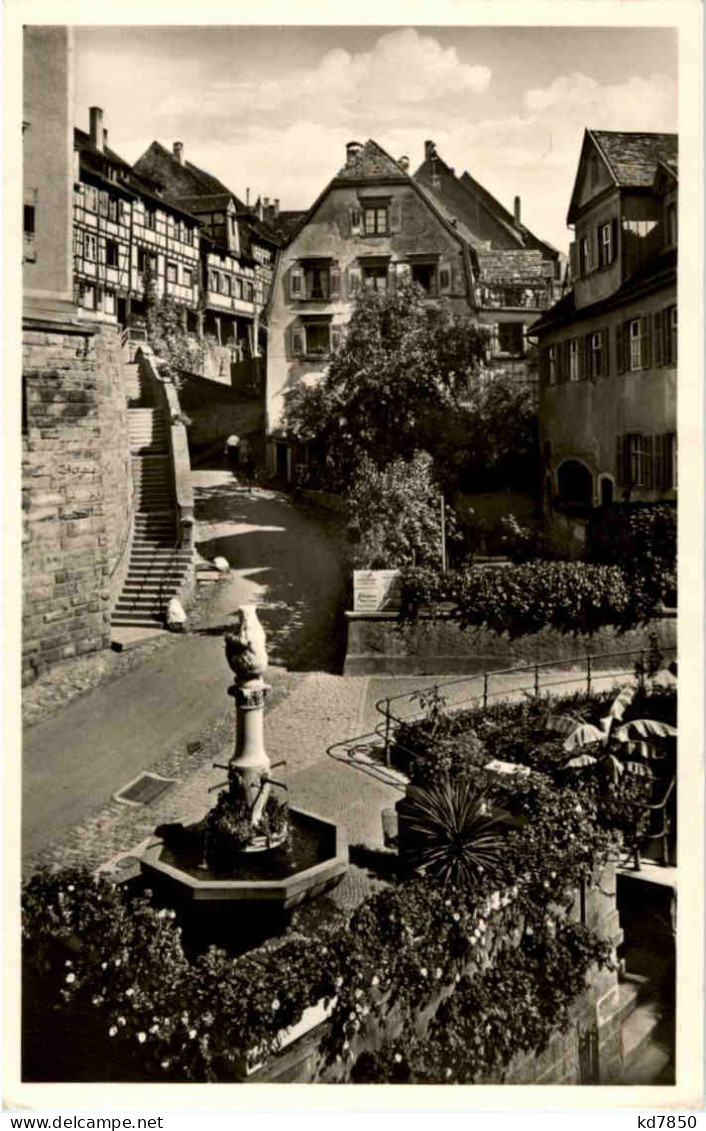 Meersburg - Steige - Meersburg