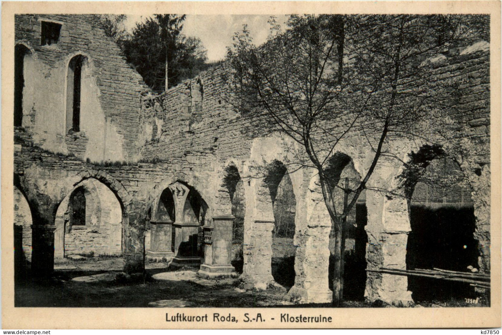 Luftkurort Stadtroda, Klosterruine - Stadtroda