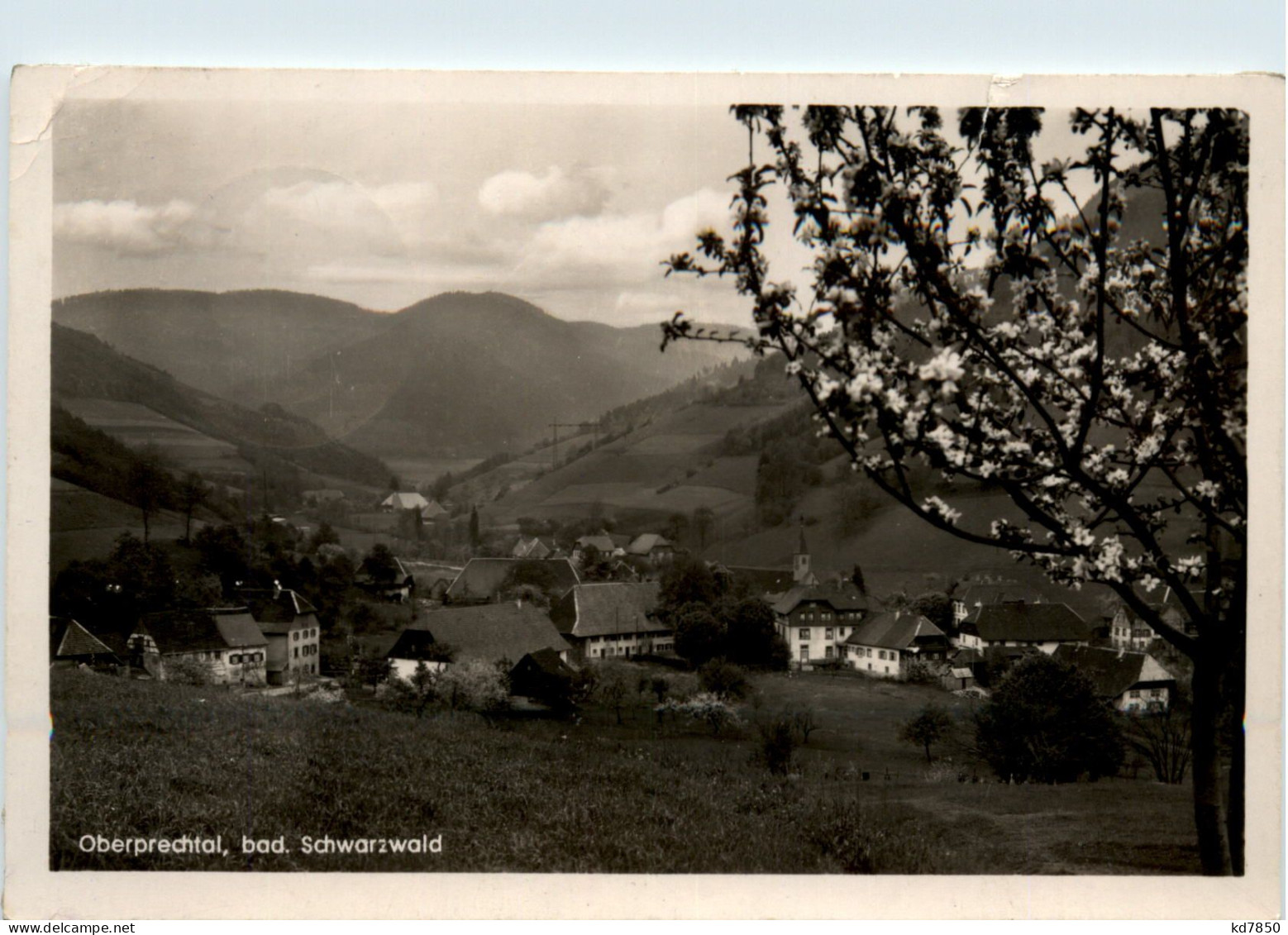 Oberprechtal - Emmendingen