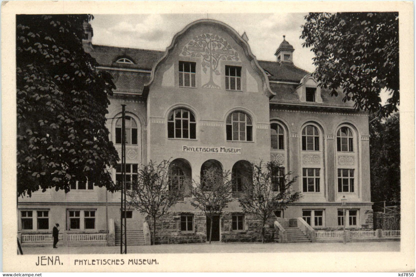 Jena, Phyletisches Museum - Jena