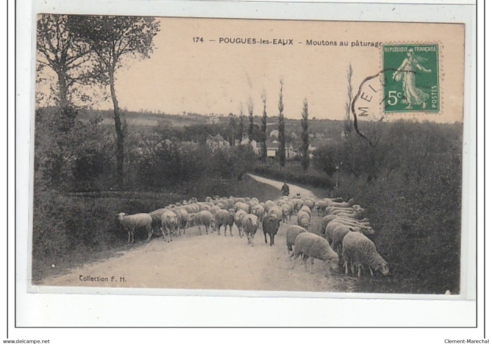 POUGUES LES EAUX - Moutons Au Pâturage - Très Bon état - Pougues Les Eaux