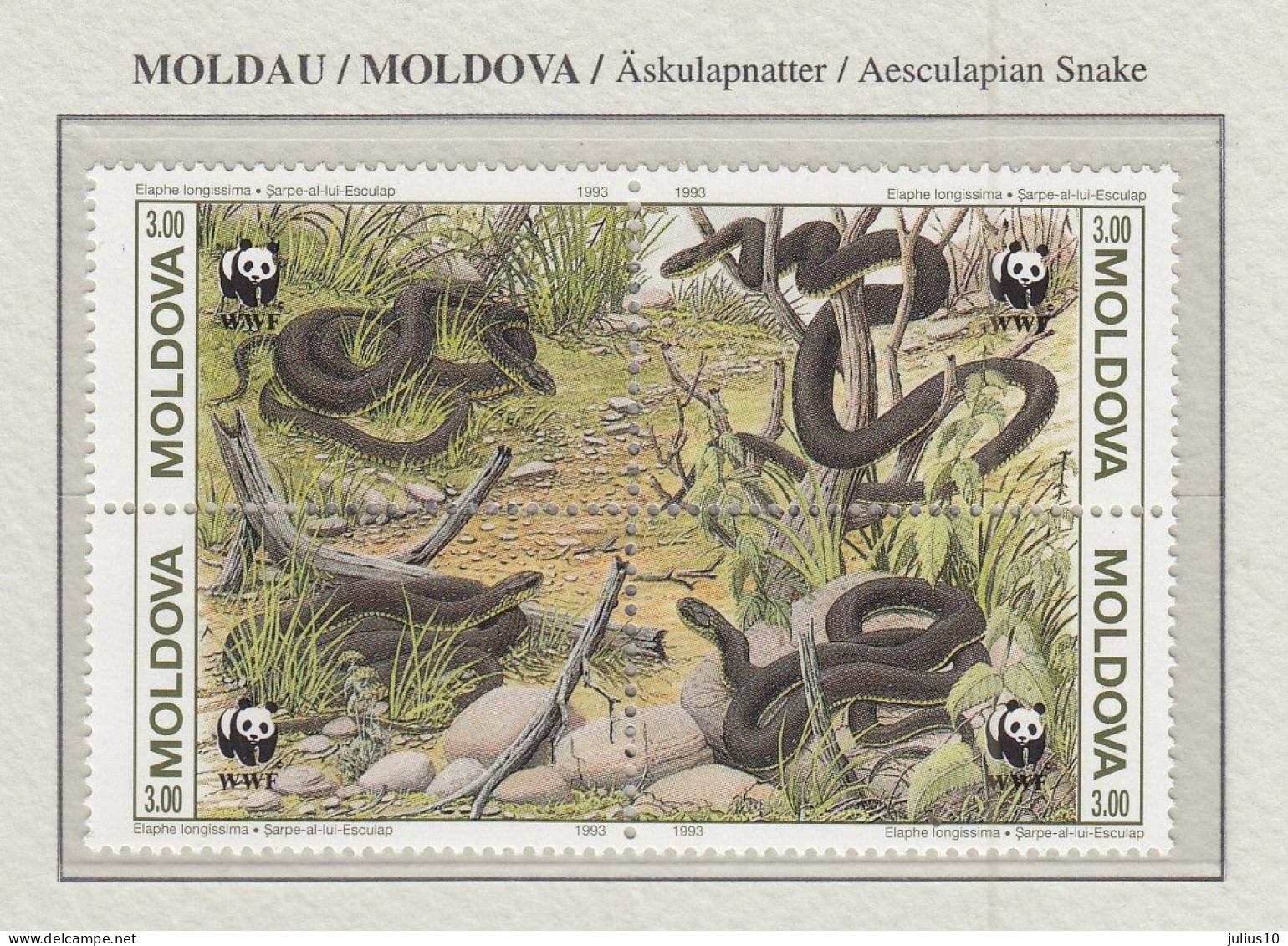 MOLDOVA 1993 WWF Reptiles Snakes Mi 50-53 MNH(**) Fauna 825 - Serpientes