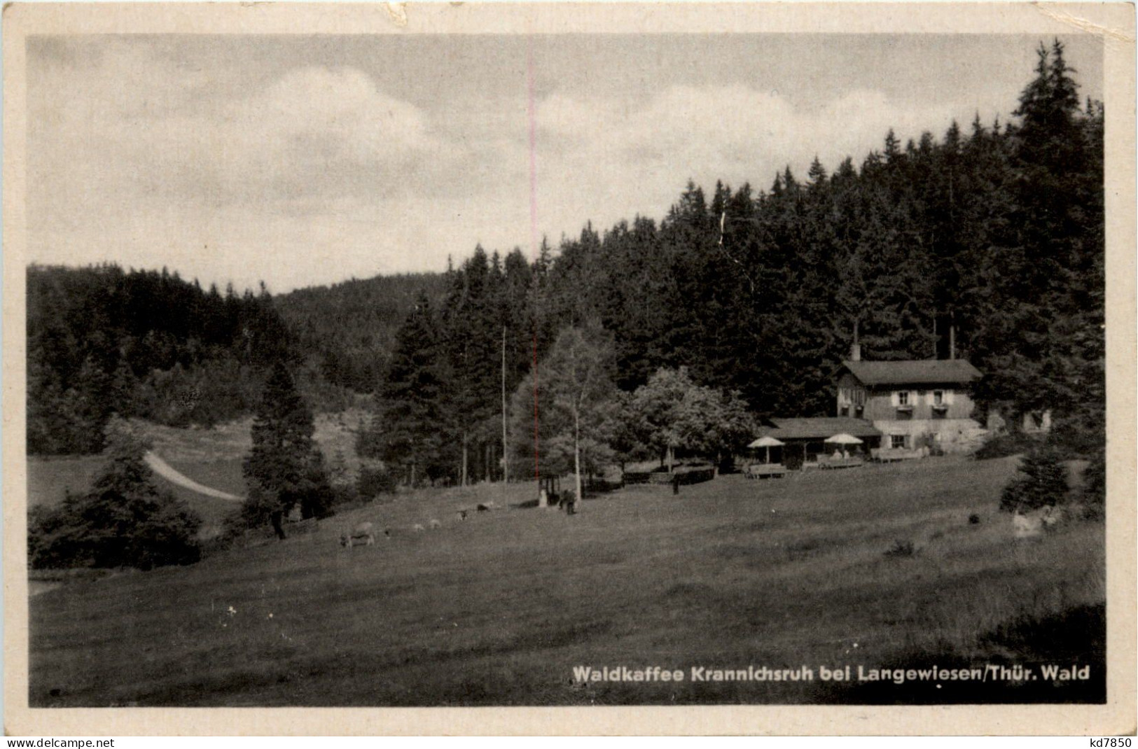 Waldkaffee Krannichsruh Bei Langewiesen - Ilmenau