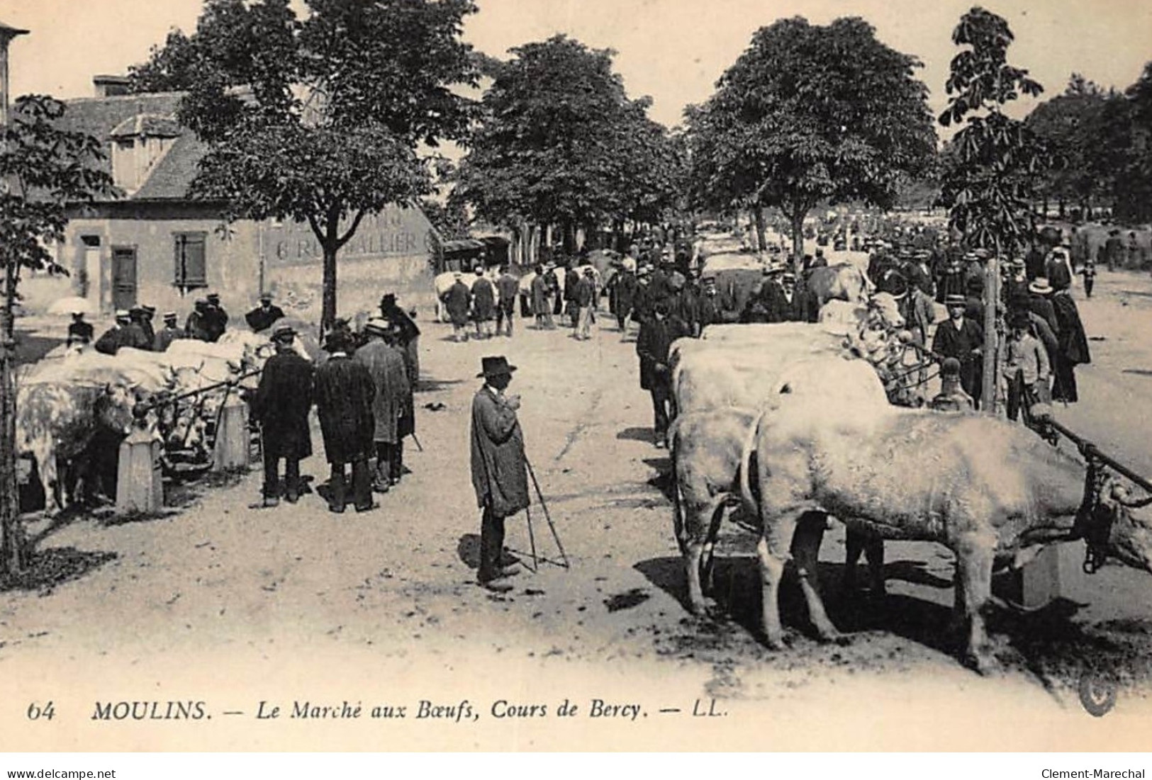 MOULINS : Le Marché Aux Boeufs, Cours De Bercy - Tres Bon Etat - Moulins