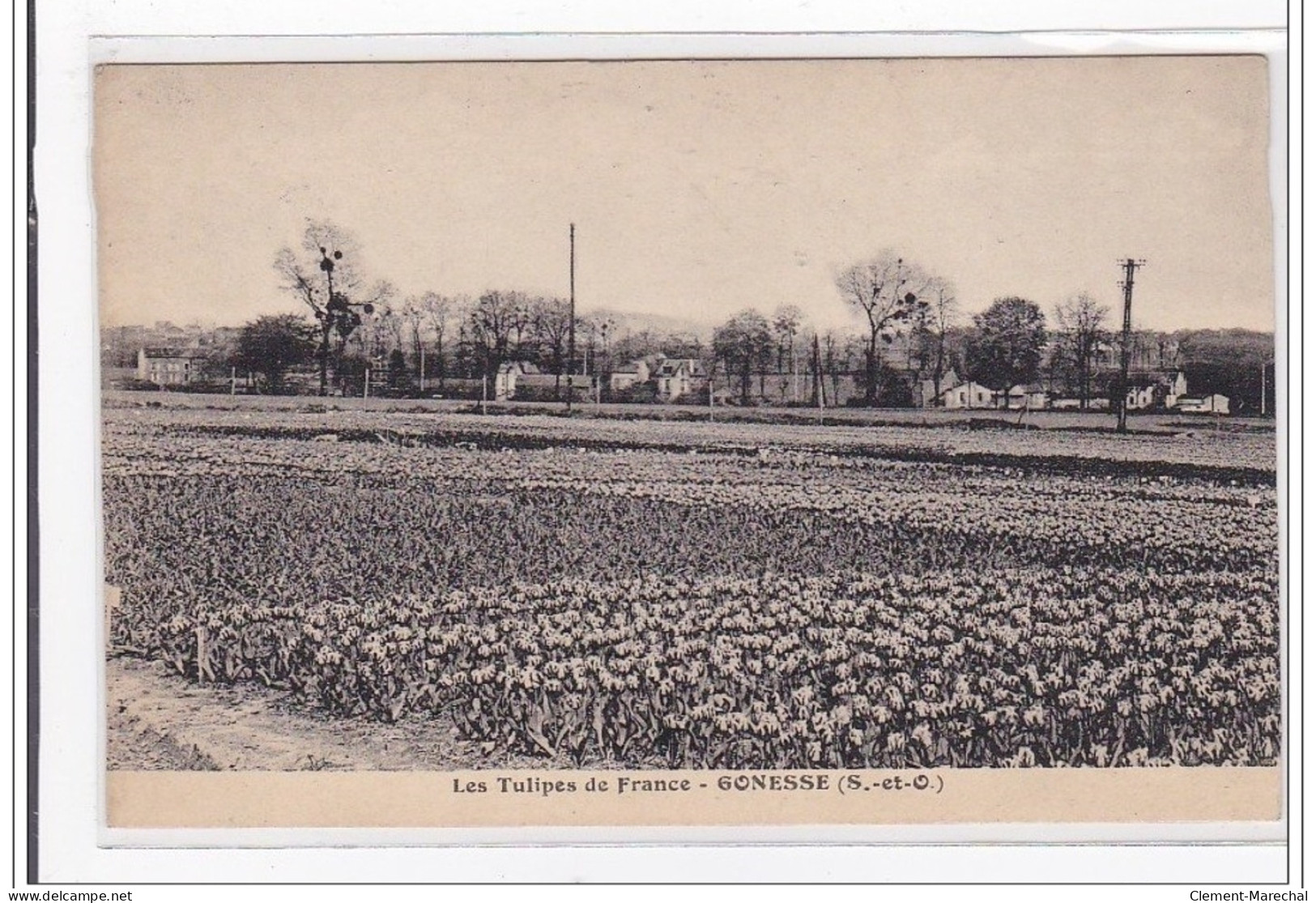 GONESSE : Les Tulipes De France - Tres Bon Etat - Gonesse