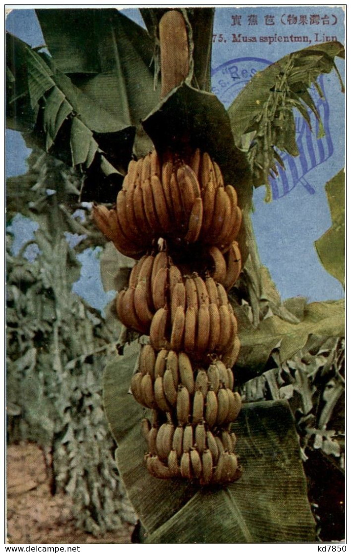 Banana - Andere & Zonder Classificatie
