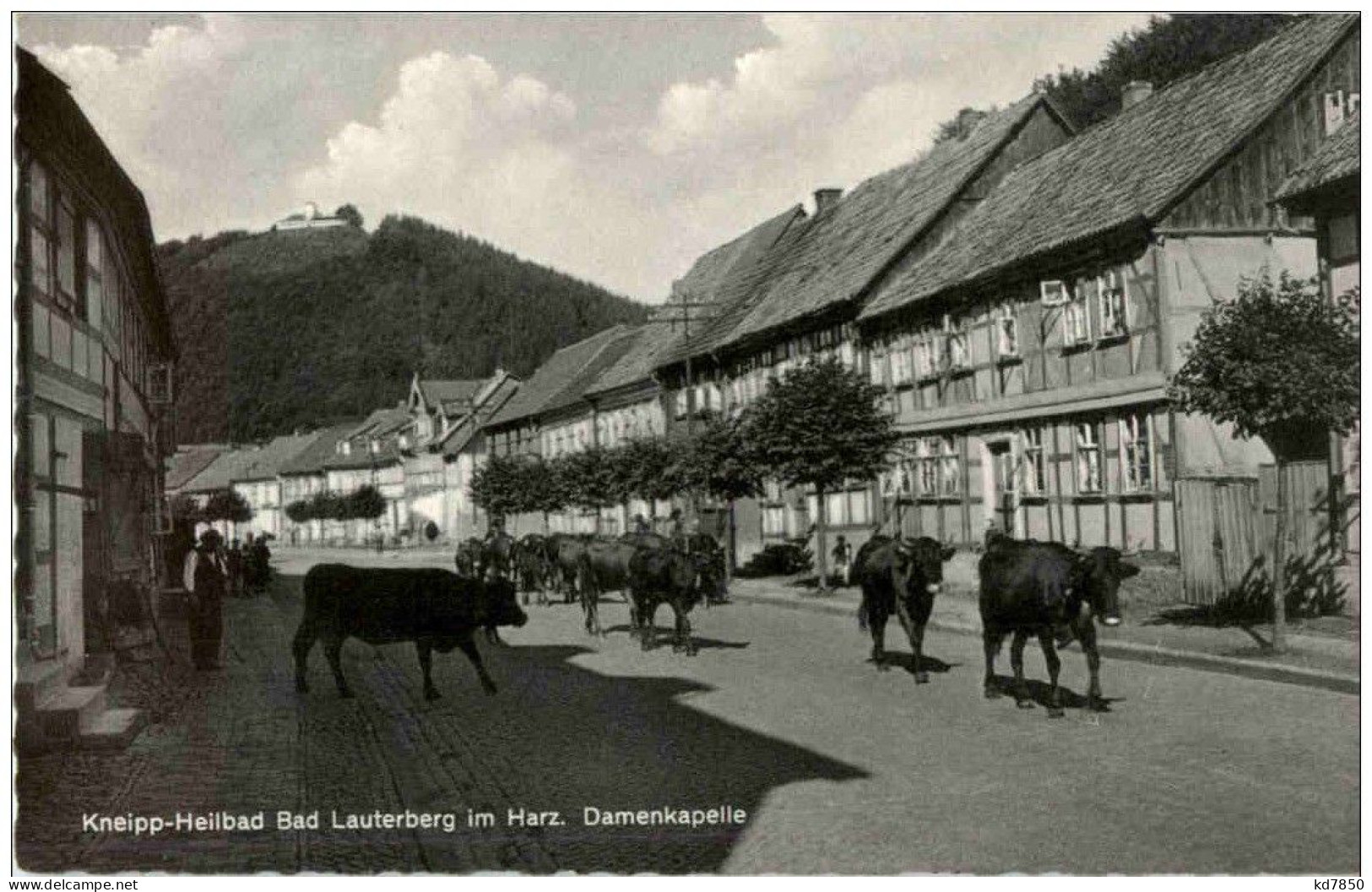 Bad Lauterberg - Damenkapelle - Bad Lauterberg