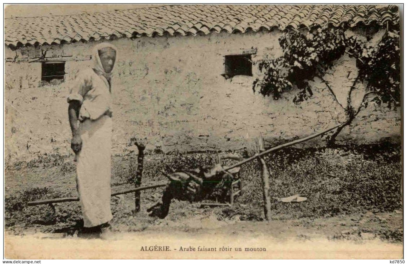 Algerie - Arabe Faisant Rotir Un Mouton - Scenes