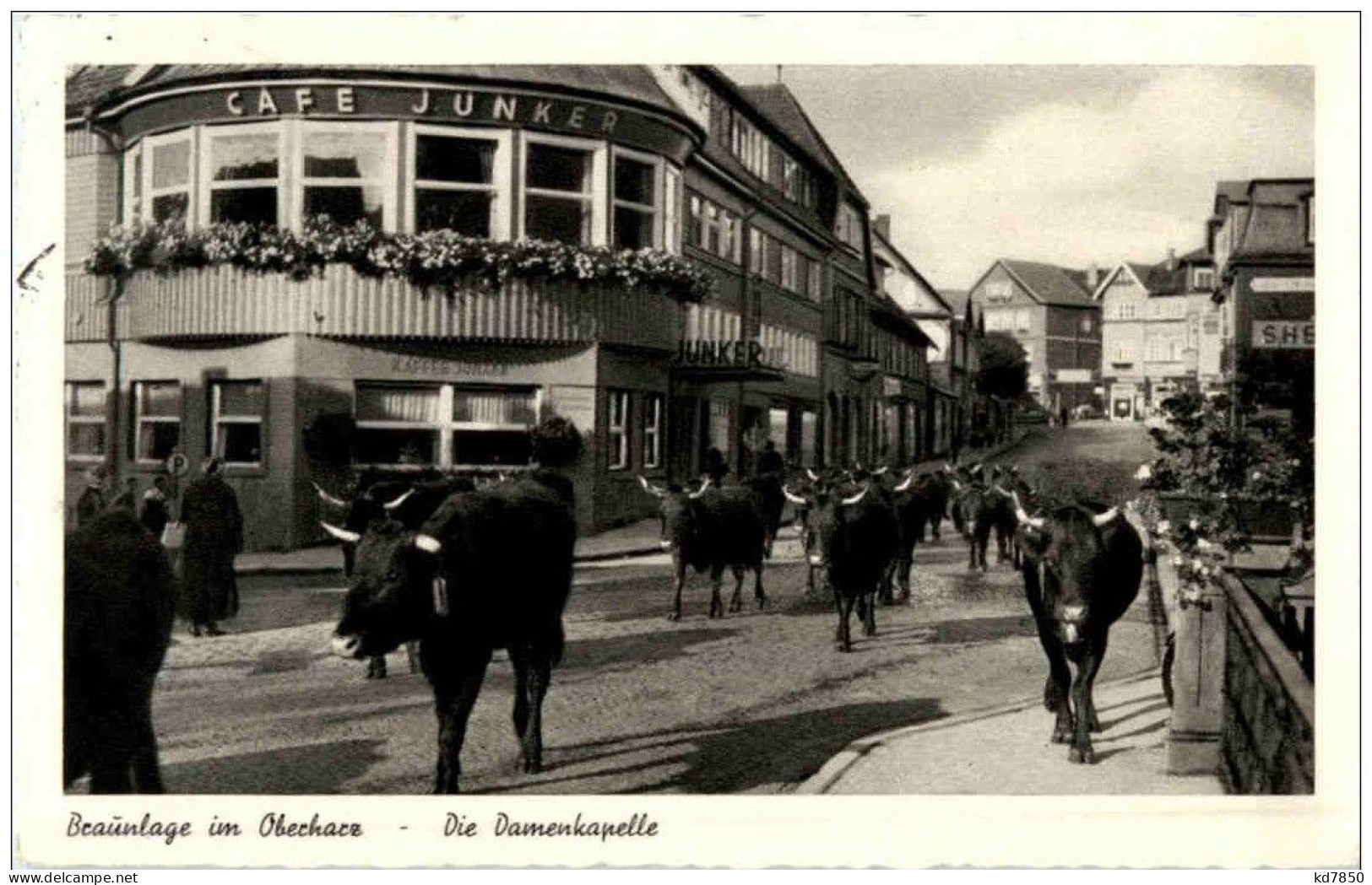 Braunlage - Die Damenkapelle - Braunlage