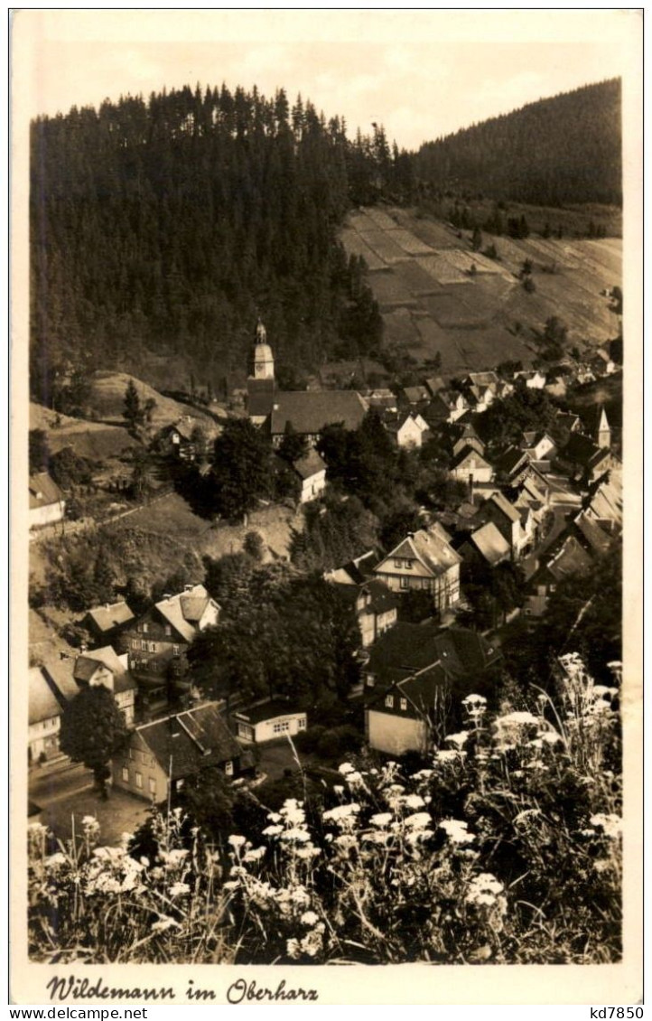 Wildemann Im Oberharz - Wildemann