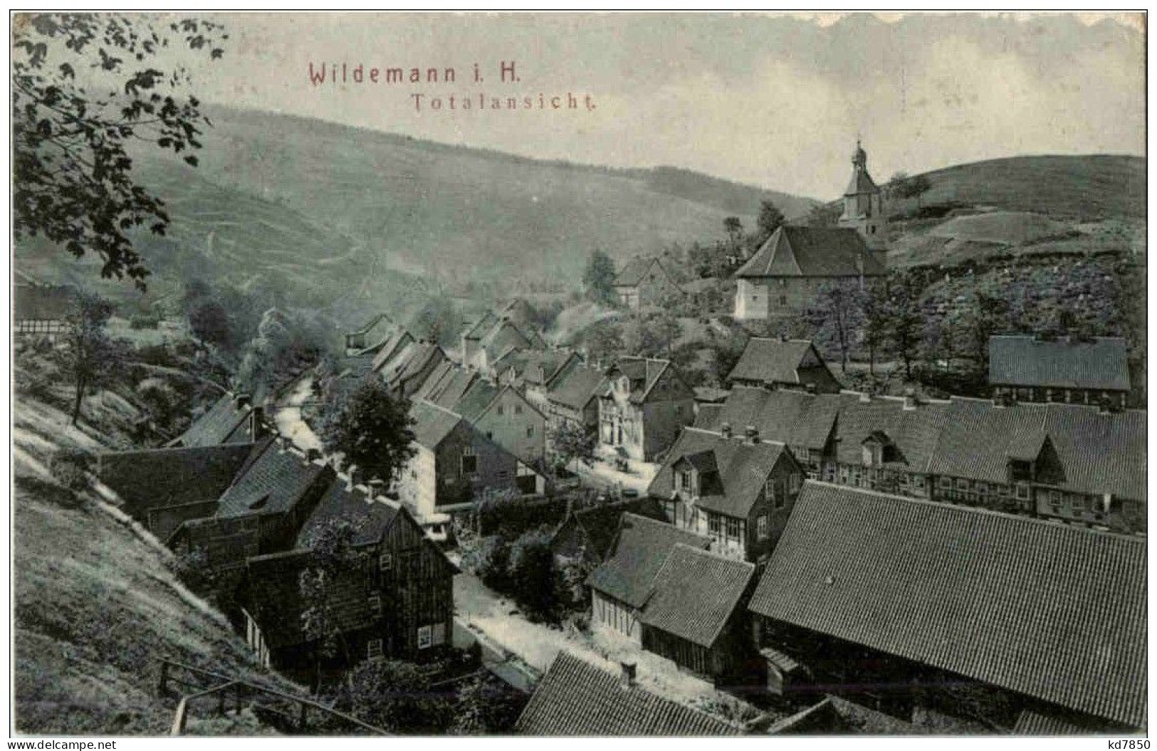 Wildemann - Wildemann