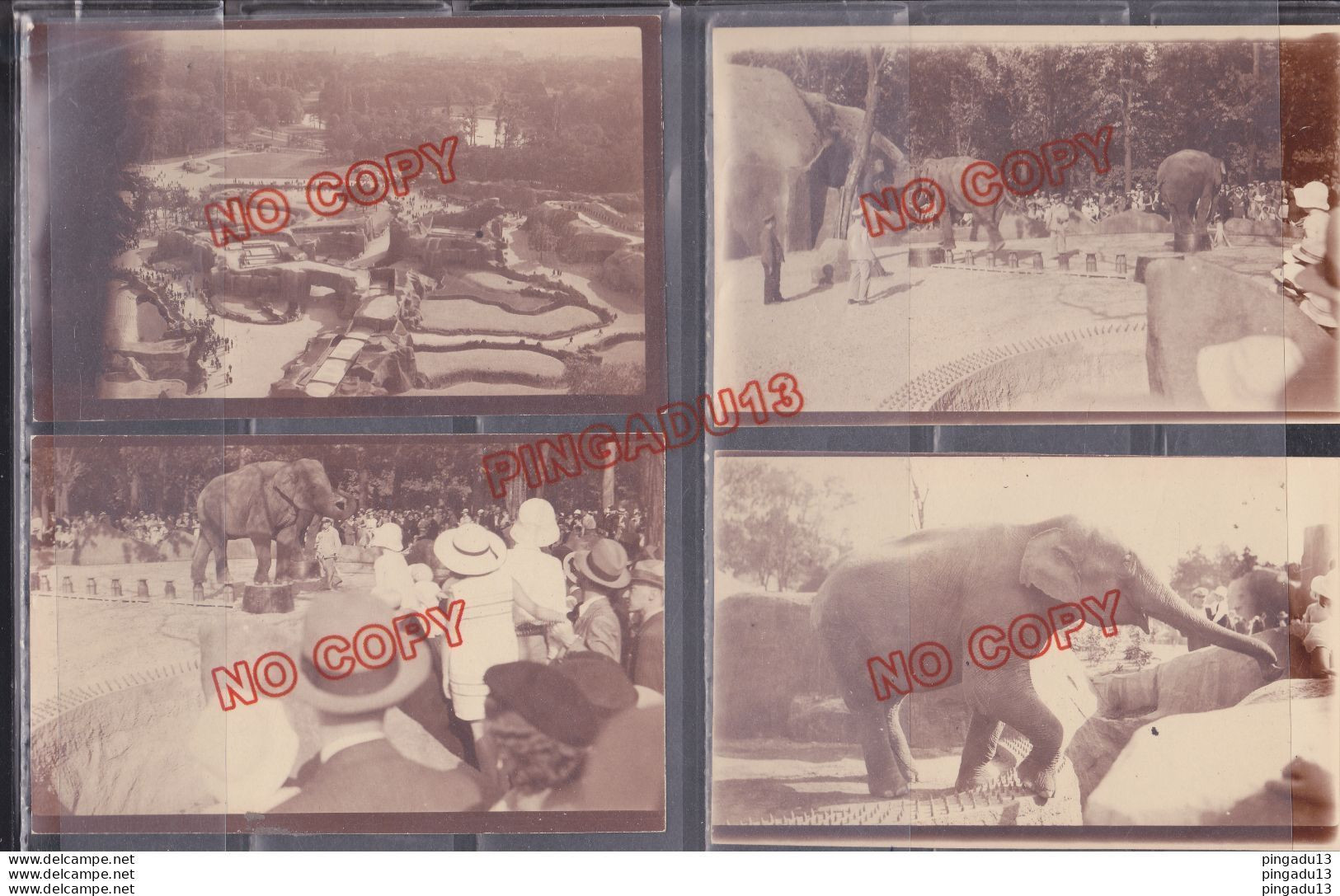 Fixe Top Zoo De Vincennes Rare Spectacle Avec éléphant Ours Girafe Singe Hippopotame Chameau ... Beau Format Années 30 - Europe