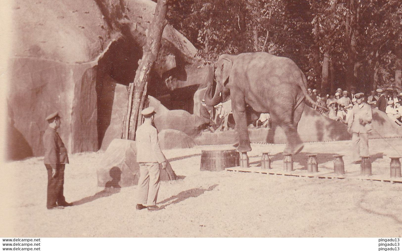Fixe Top Zoo De Vincennes Rare Spectacle Avec éléphant Ours Girafe Singe Hippopotame Chameau ... Beau Format Années 30 - Europe