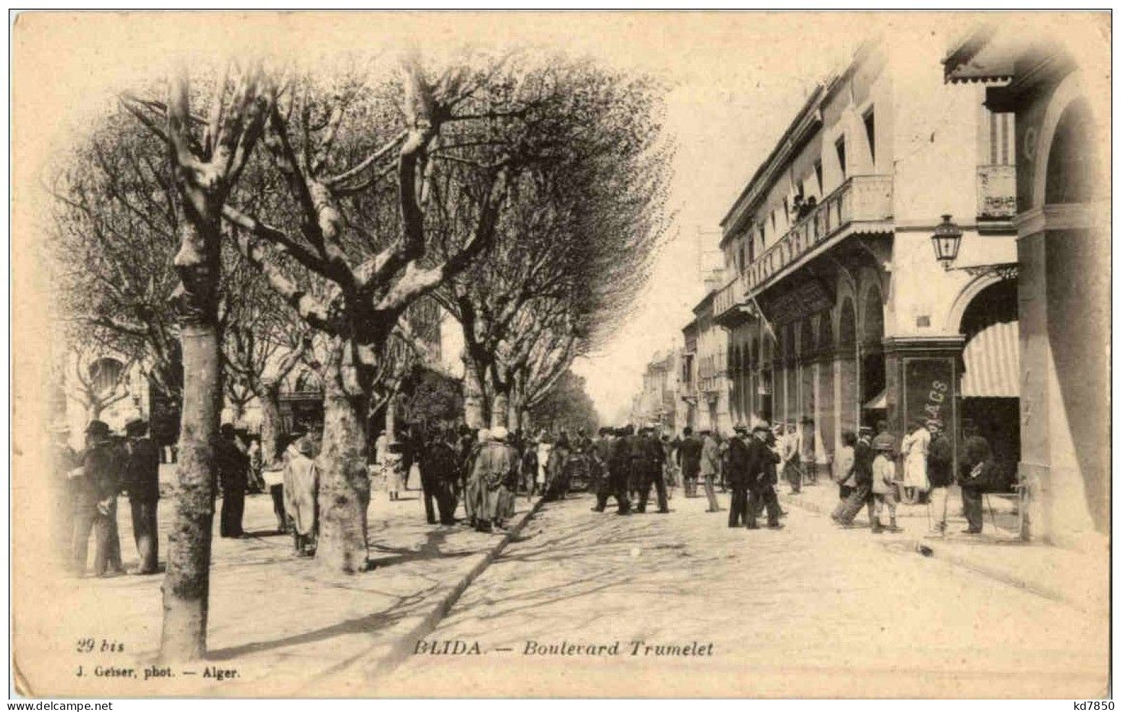 Blida - Boulevard Trumelet - Blida