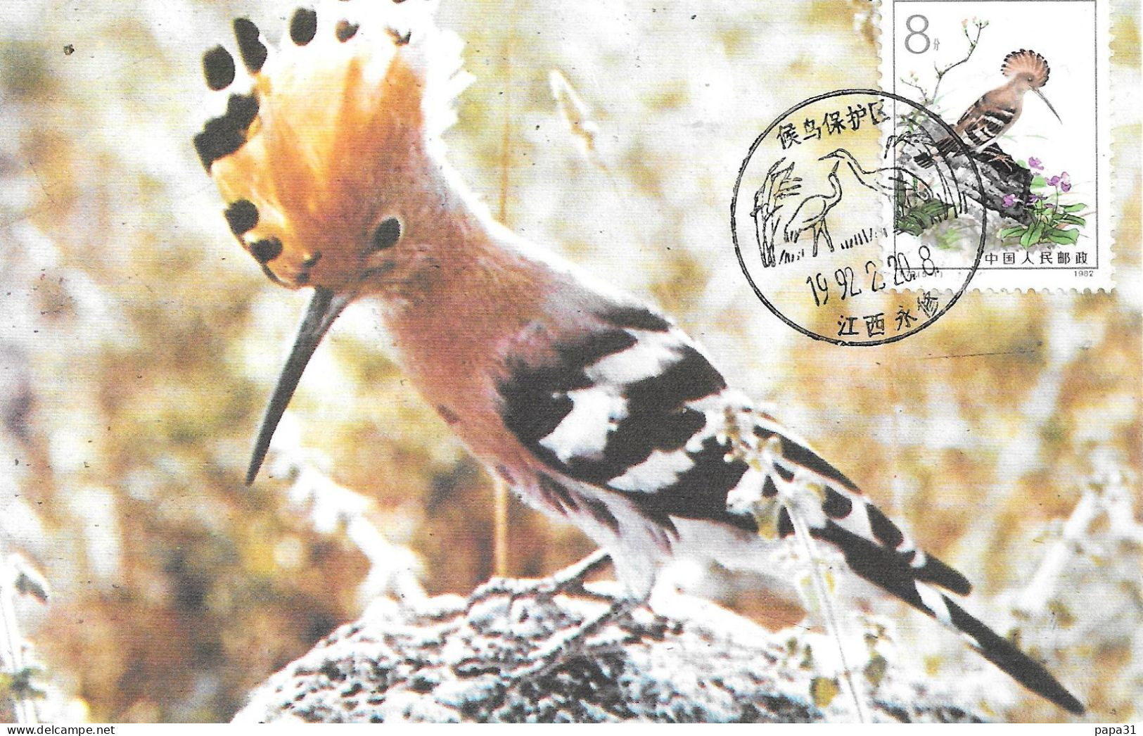 HOOPOE  Oiseau Hupette - Carte Chinoise - Vögel