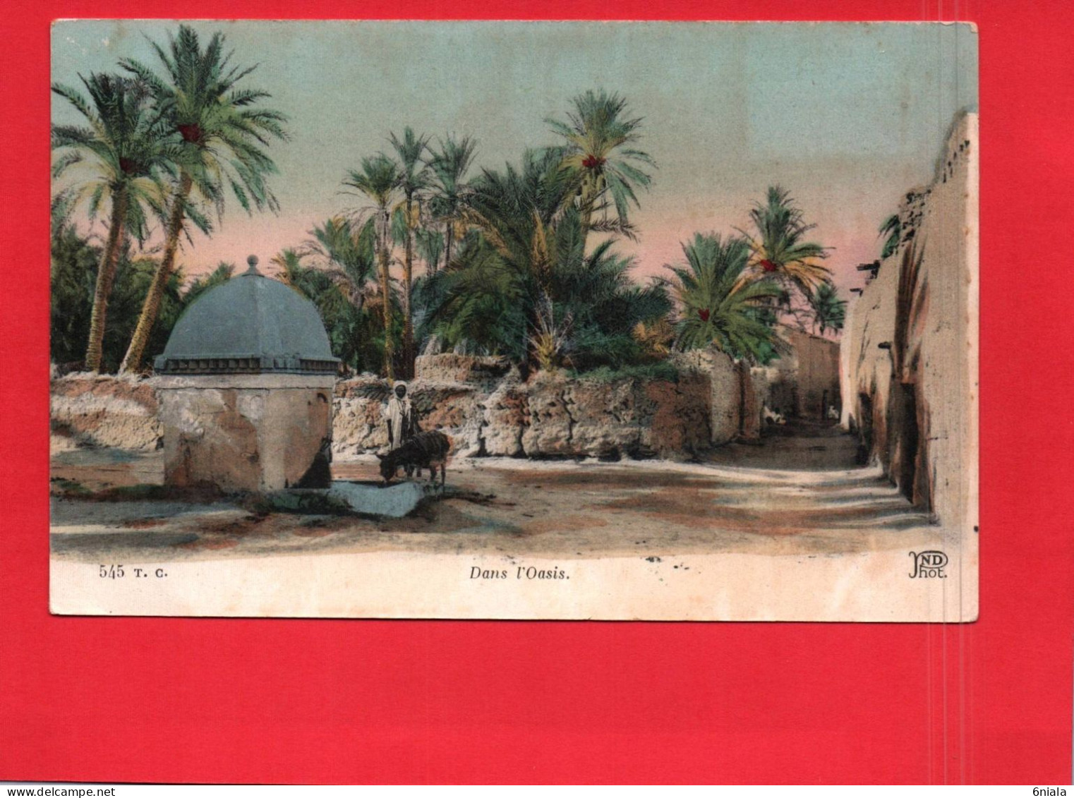 18688   Dans L' OASIS    (2 Scans )  (1924 Dans La Correspondance Lamberville  Sousse  Tunisie) - Tunisia