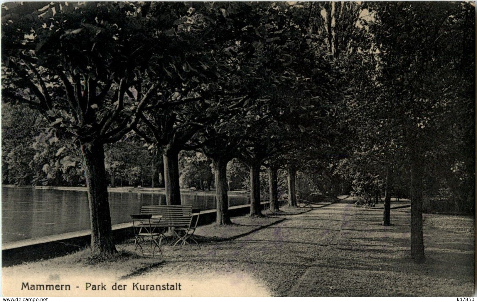 Mammern - Park Der Kuranstalt - Mammern