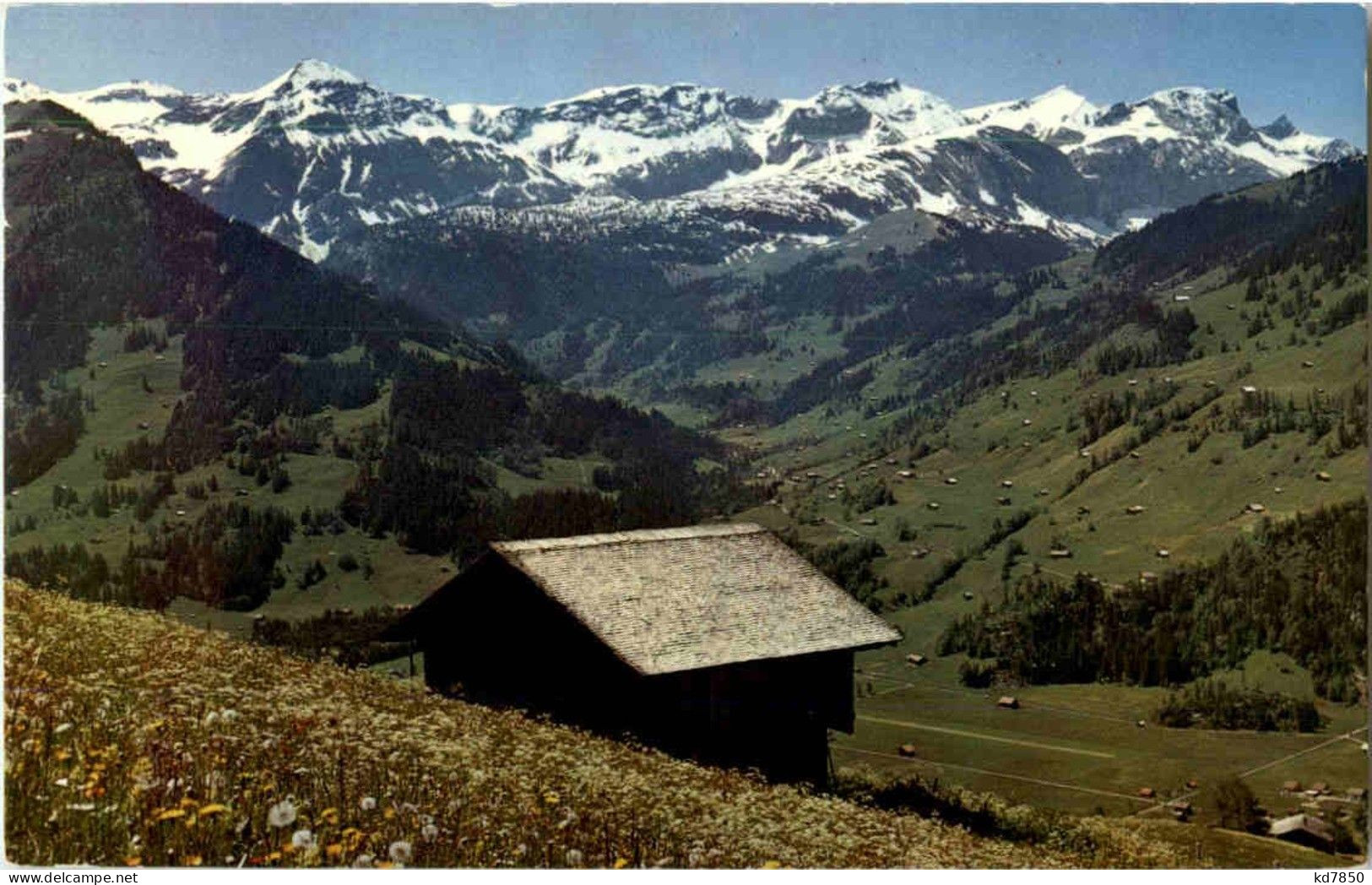 Lenk - Pöschenried - Hohberg - Lenk Im Simmental