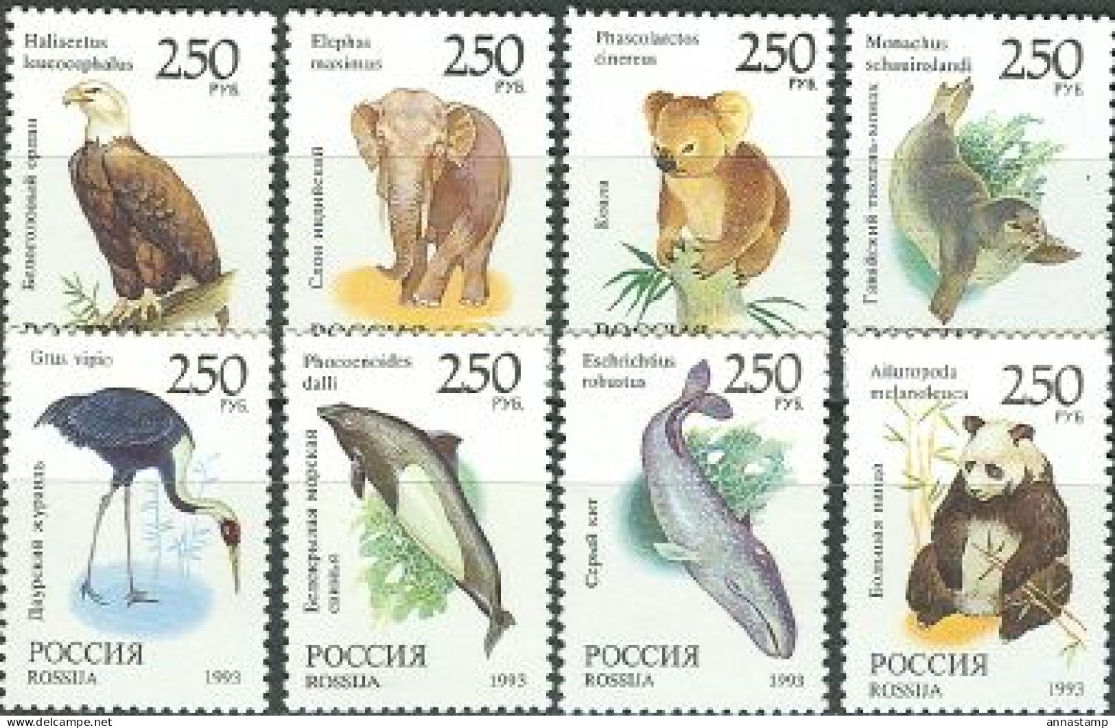 Russia MNH Set - Other & Unclassified