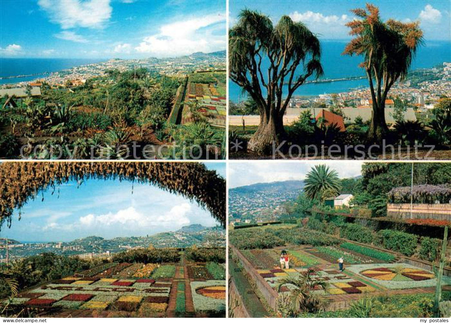 73630732 Funchal Diversos Aspectos Do Jardim Botanico Funchal - Sonstige & Ohne Zuordnung