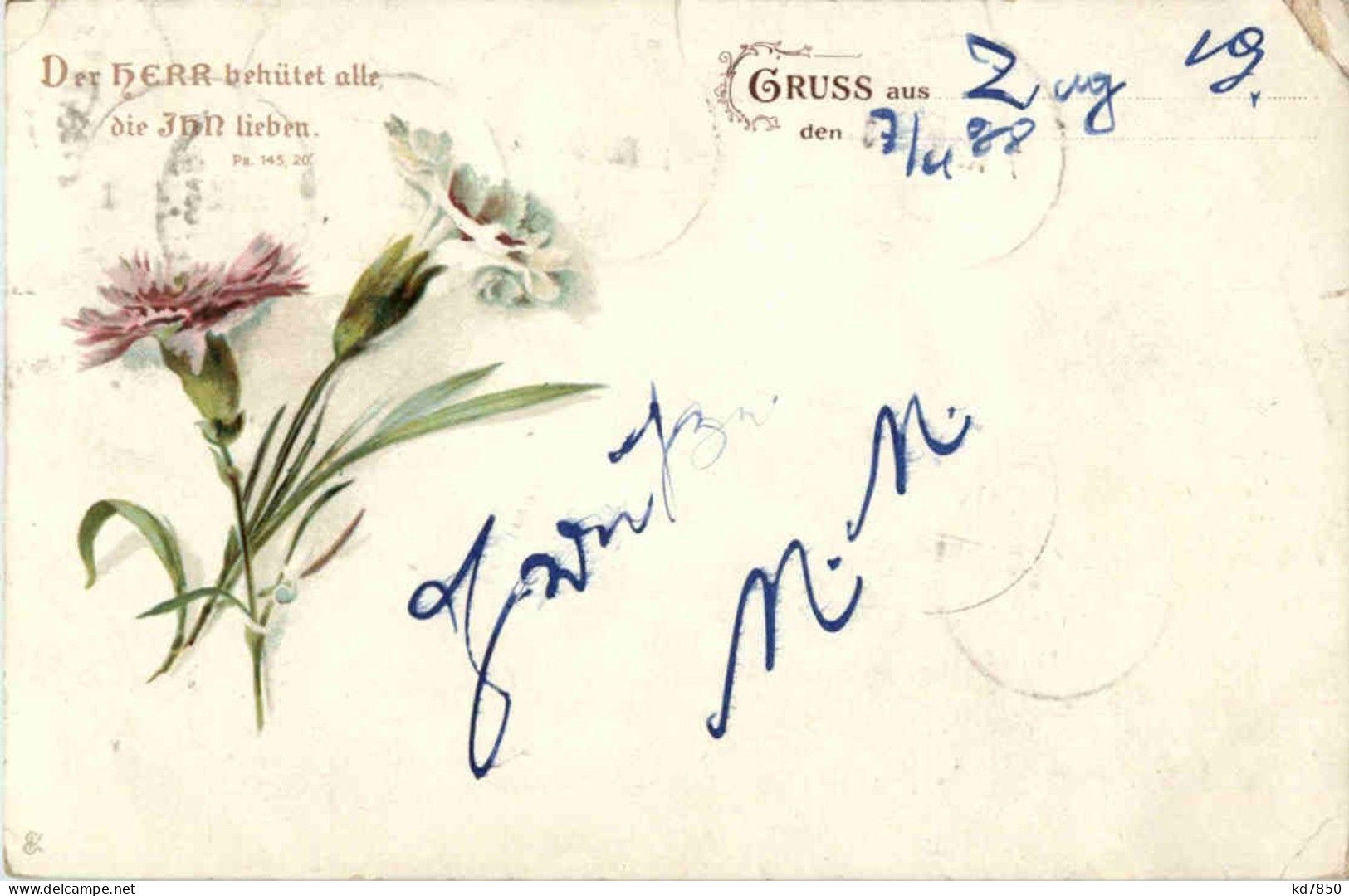 Gruss Aus - Blumen Nelken - Greetings From...