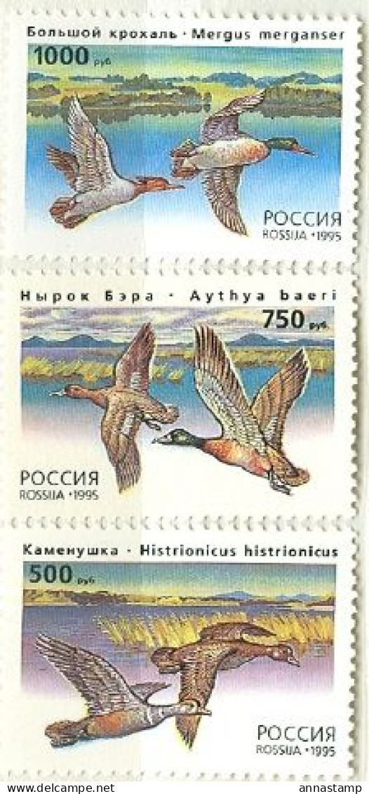 Russia MNH Set - Entenvögel