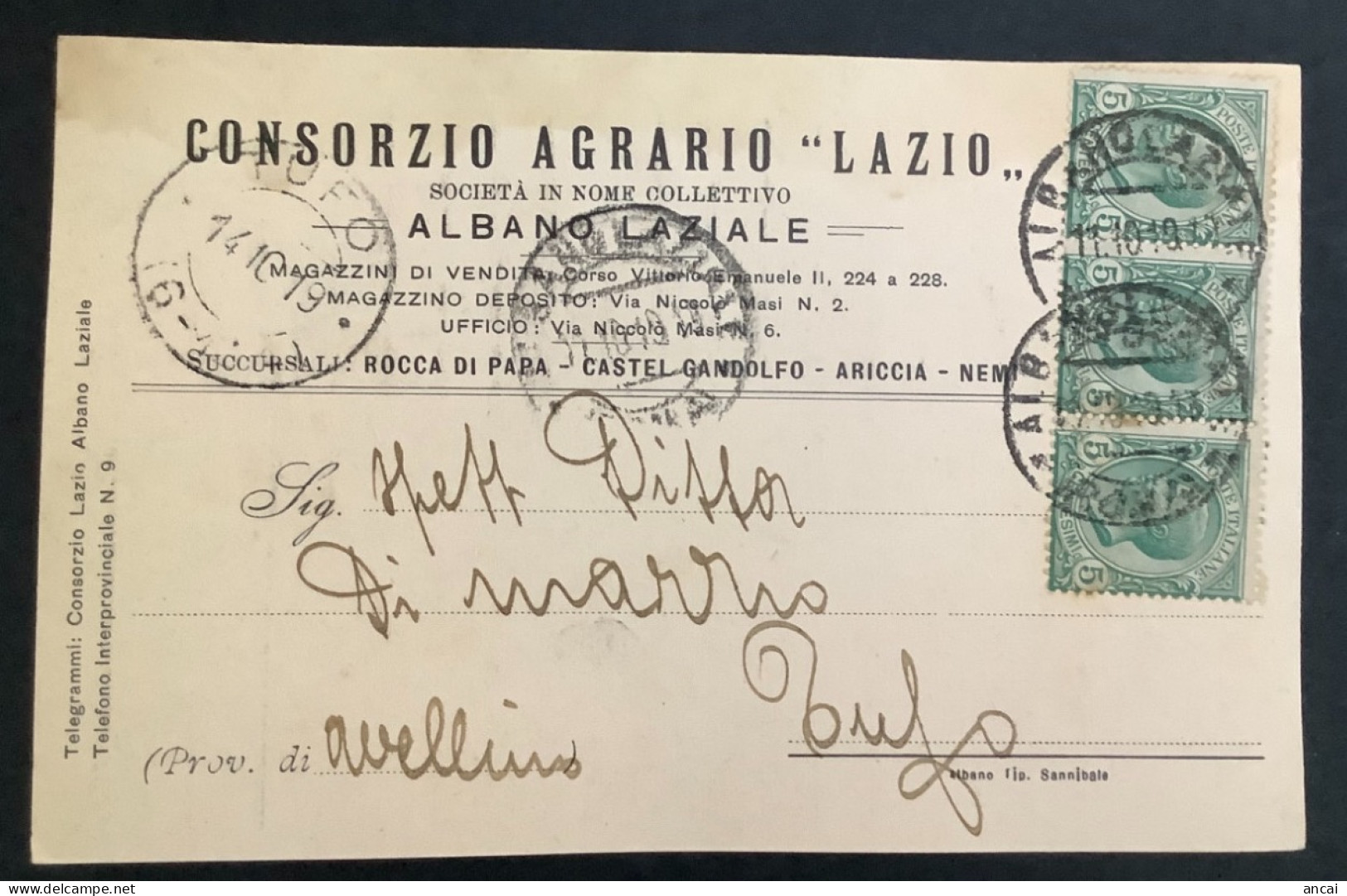 Italy. A206. Albano Laziale. 1919. Cartolina Postale PUBBLICITARIA ... CONSORZIO AGRARIO LAZIO .... - Marcofilie