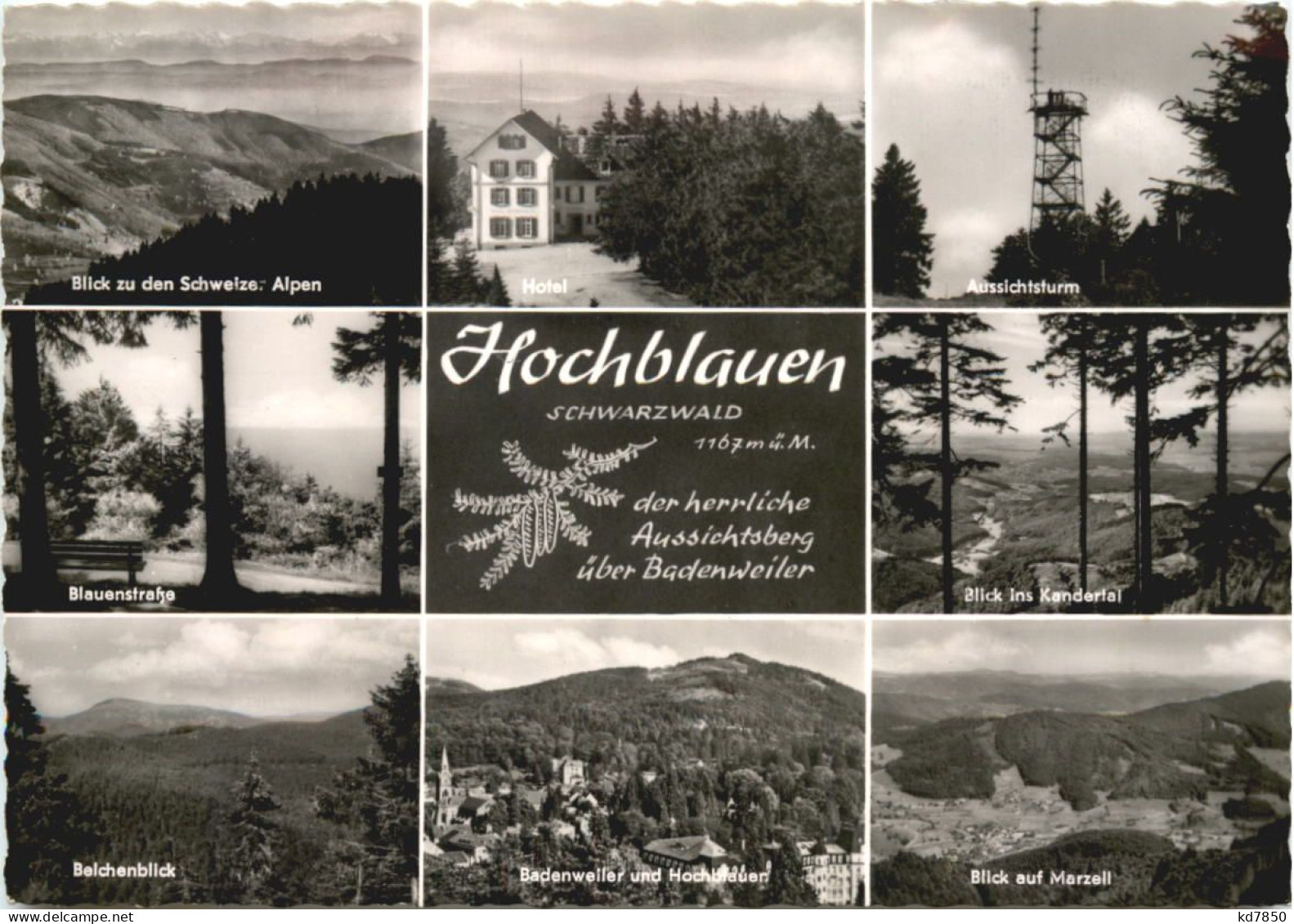 Hochblauen - Loerrach