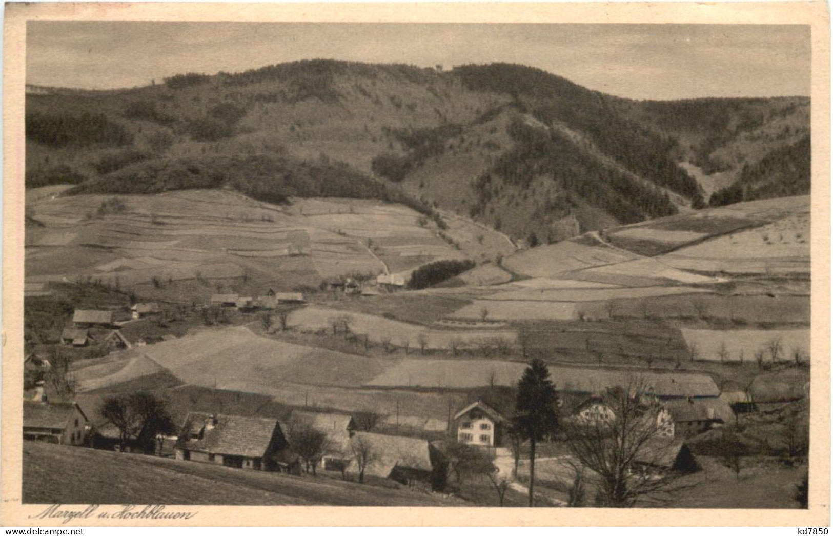 Marzell - Loerrach