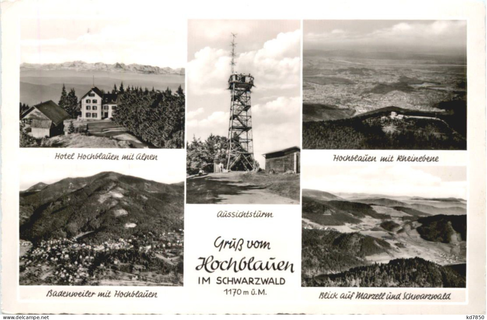 Hochblauen Bei Badenweiler - Badenweiler