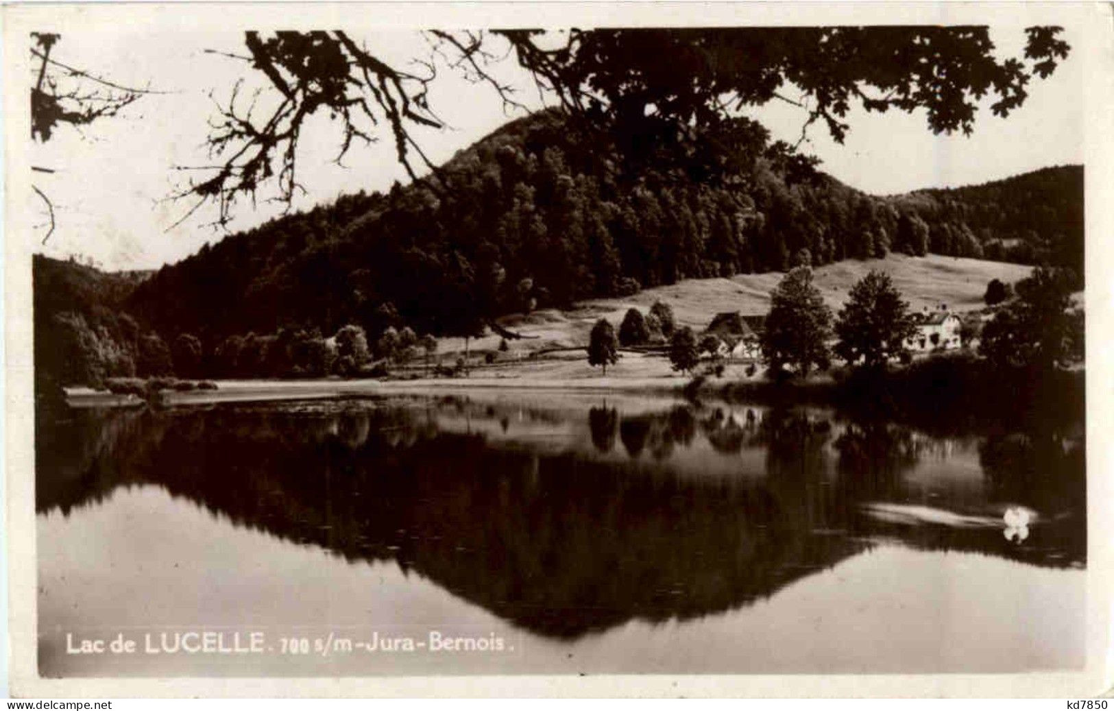 Lac De Lucelle - Sonstige & Ohne Zuordnung