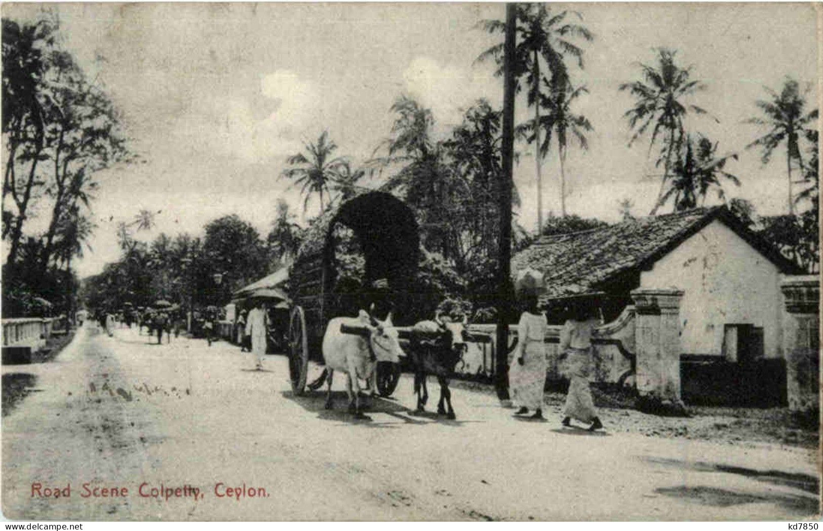Ceylon - Road Scene Colpetty - Sri Lanka (Ceilán)