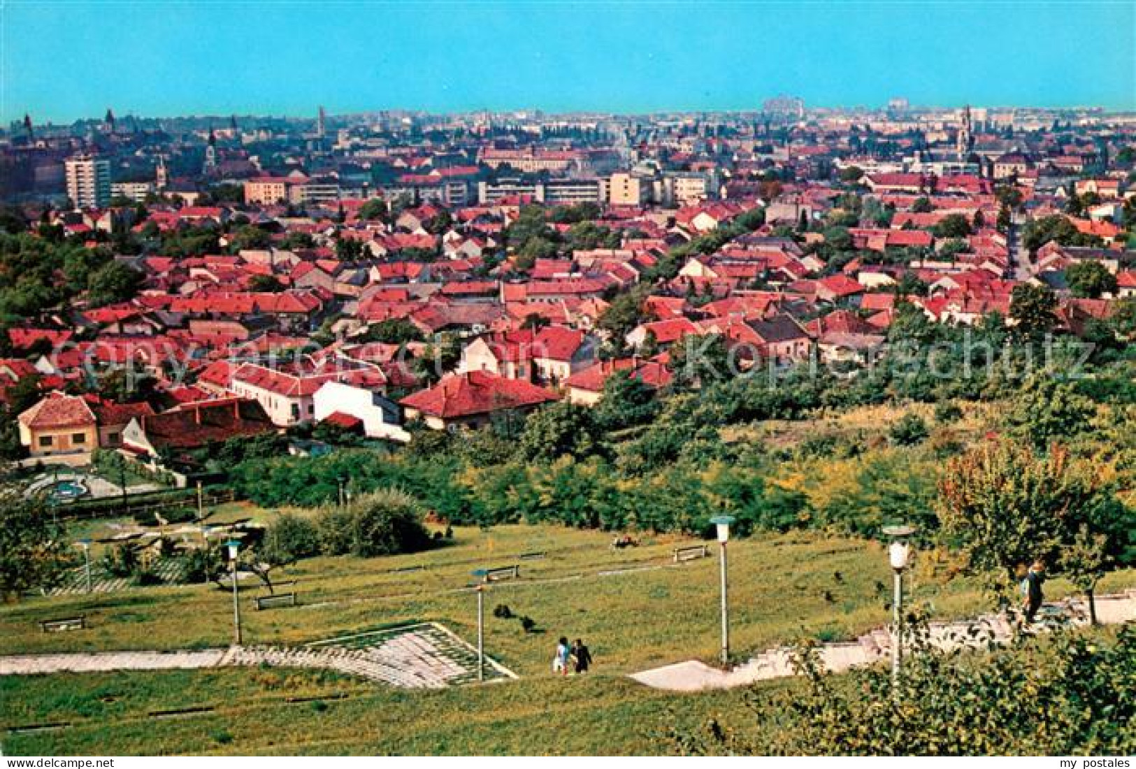 73629693 Oradea  Oradea - Romania