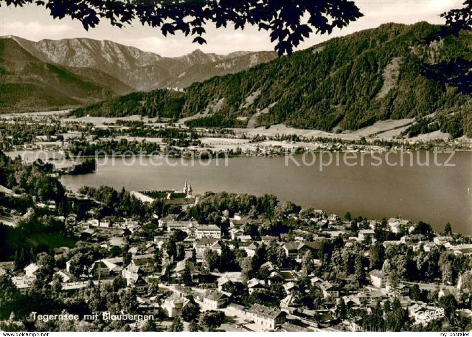 73629343 Tegernsee Panorama Mit Blaubergen Tegernsee - Tegernsee