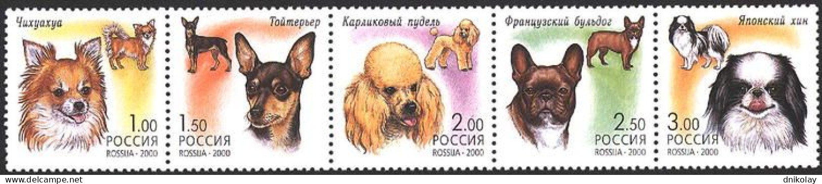 2000 831 Russia Decorative Dogs MNH - Nuovi