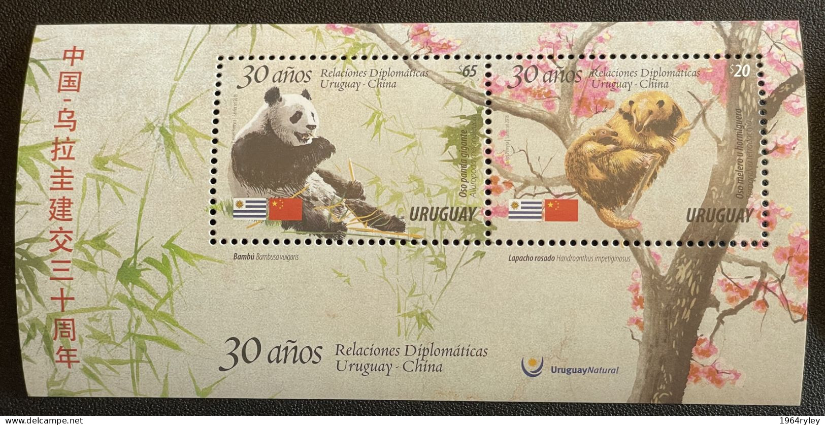 URUGUAY  - MNH**  - 2018  - # BLOCK - CHINA - Uruguay