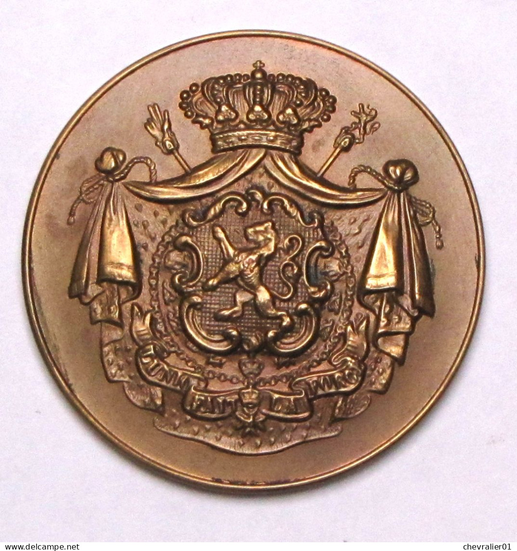 Médaille 04.10-ministère De La Santé Et De La Famille - Altri & Non Classificati