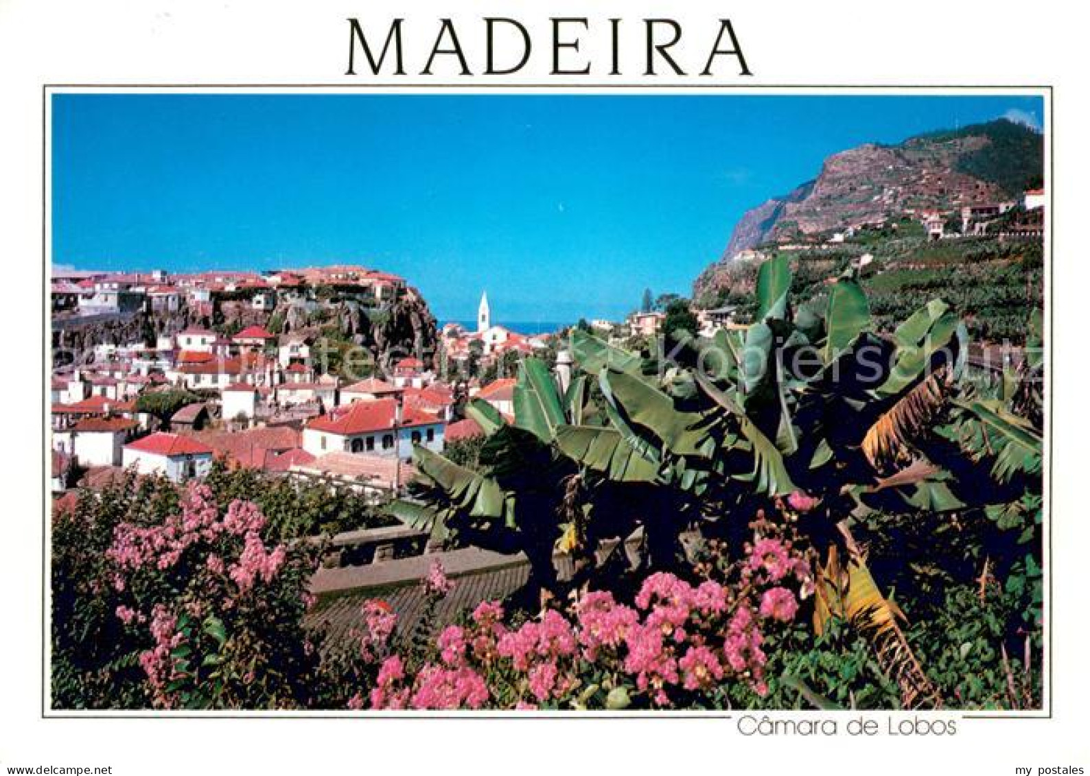 73627536 Camara De Lobos Madeira  Portugal Aldeia Piscatoria  - Madeira