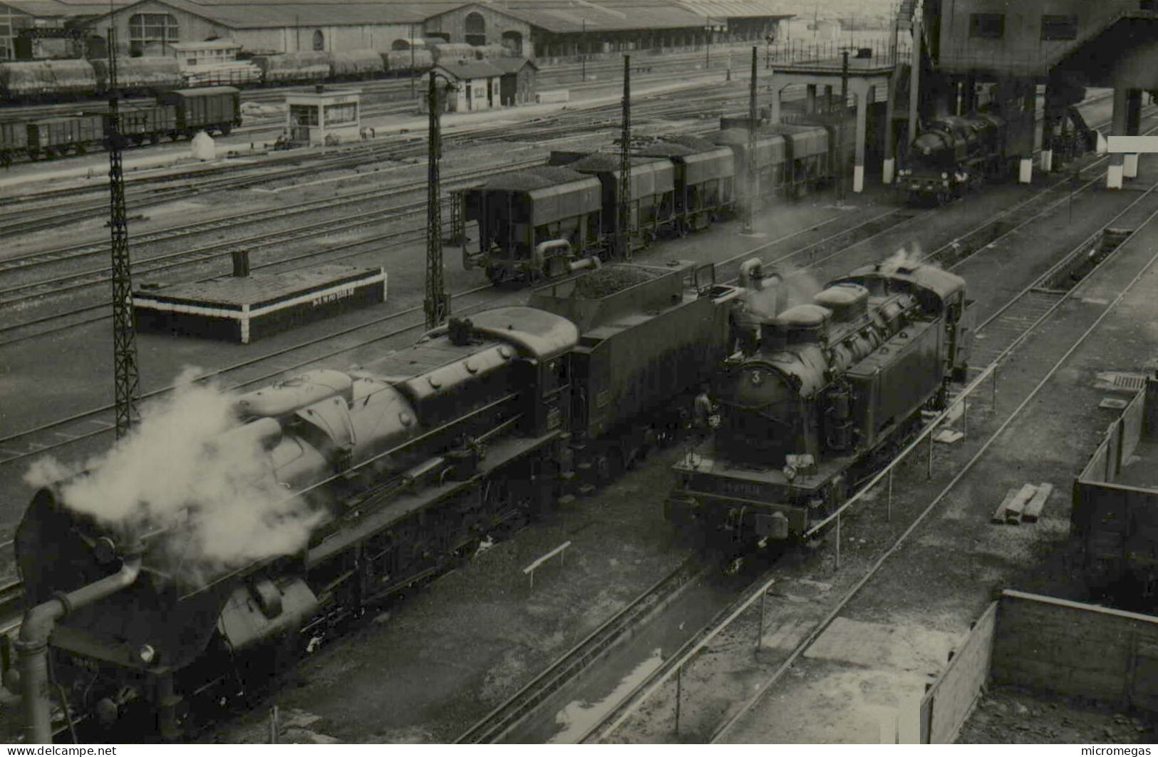 Locomotives - Photo G. F. Fenino 1951 - Trenes
