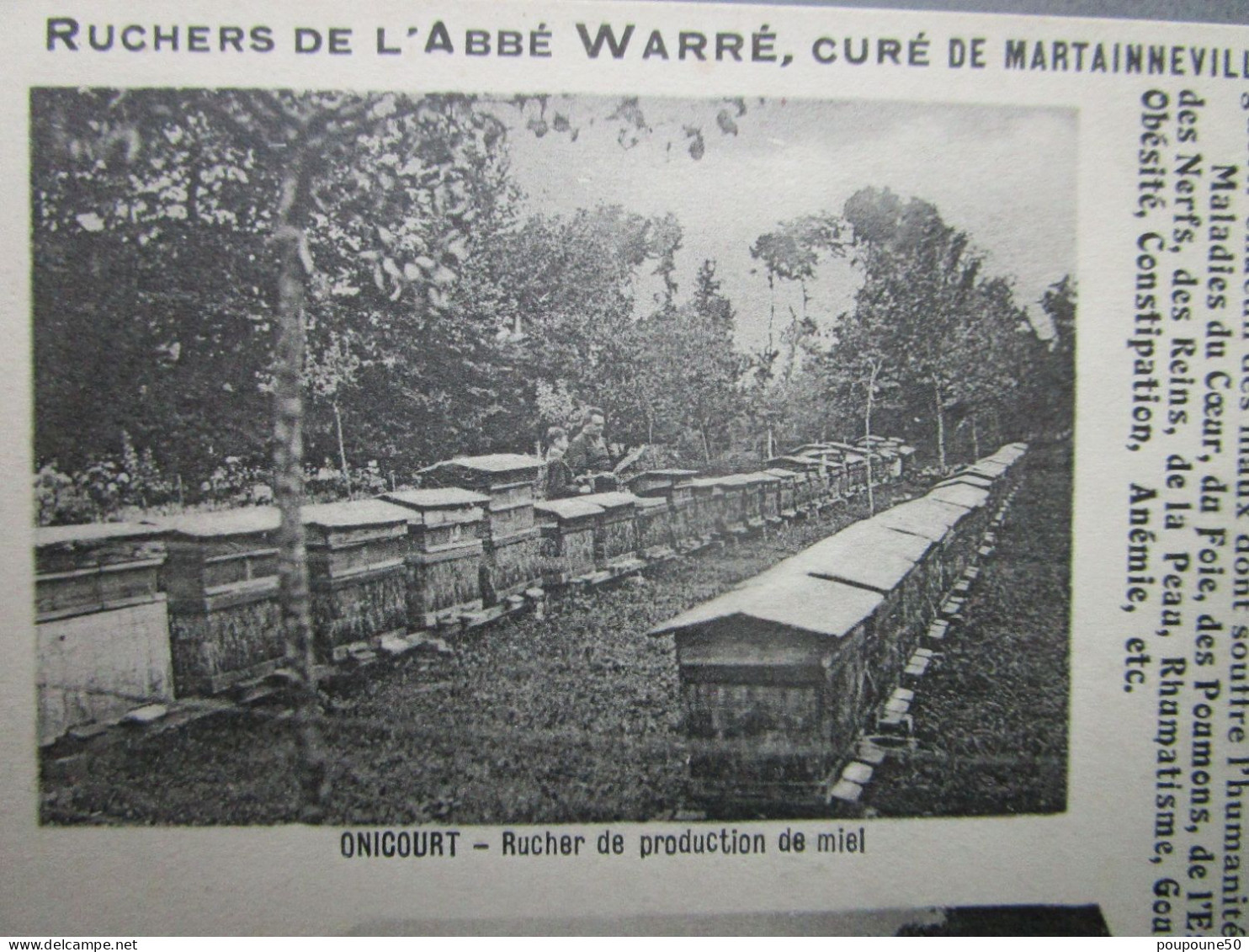 CPA 80 Somme MARTAINNEVILLE  ONICOURT Grebault Mesnil Prés Oisemont - Apiculture, Les Ruchers De L'Abbé  E.WARRE,Ruche - Oisemont