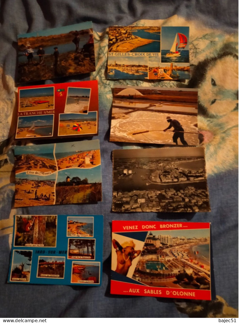 Lot De 780 Cartes Postale De Vendée 85 - 500 Postcards Min.