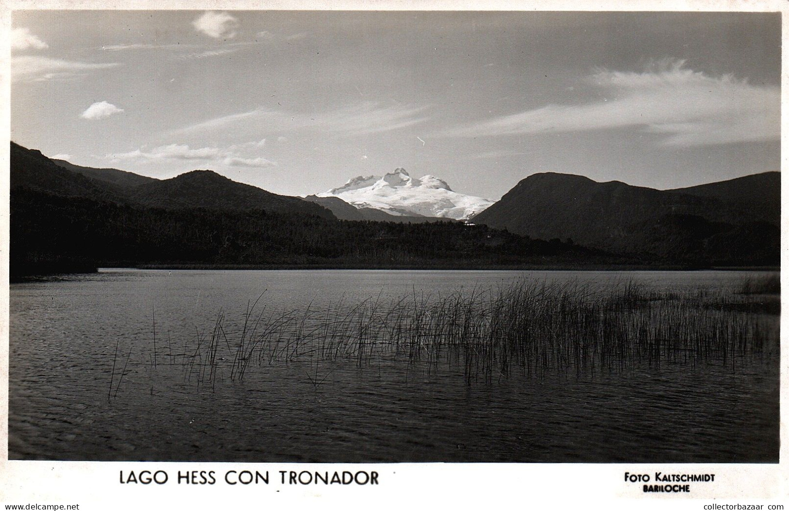 Argentina Bariloche Cerro Tronador Lago Hess Cordillera De Los Andes Mountains  Real Photo Postcard Ca1930 - Argentinië