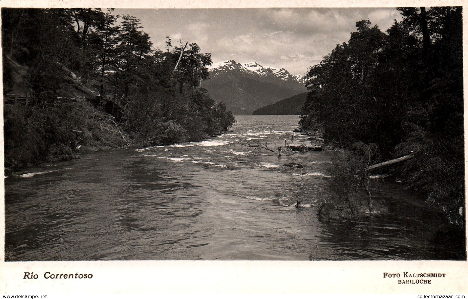 Argentina Bariloche Rio Correntoso  Cordillera De Los Andes Mountains  Real Photo Postcard Ca1930 - Argentina
