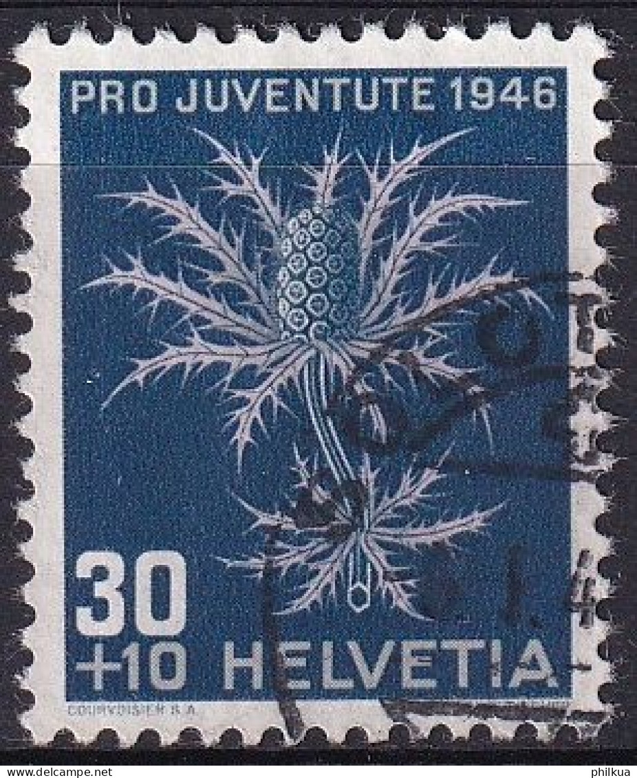 1946, 1. Dez. Pro Juventute Alpenblumen Alpendistel (Eryngium Alpinum) 120 / MiNr. 478 Mit Sauber Gestempelt - Gebruikt