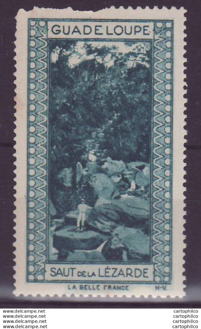 Vignette ** Guadeloupe Saut De La Lezarde - Unused Stamps