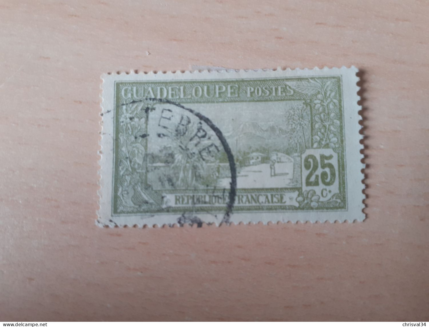TIMBRE   GUADELOUPE       N  81     COTE  0,75   EUROS  OBLITERE - Used Stamps
