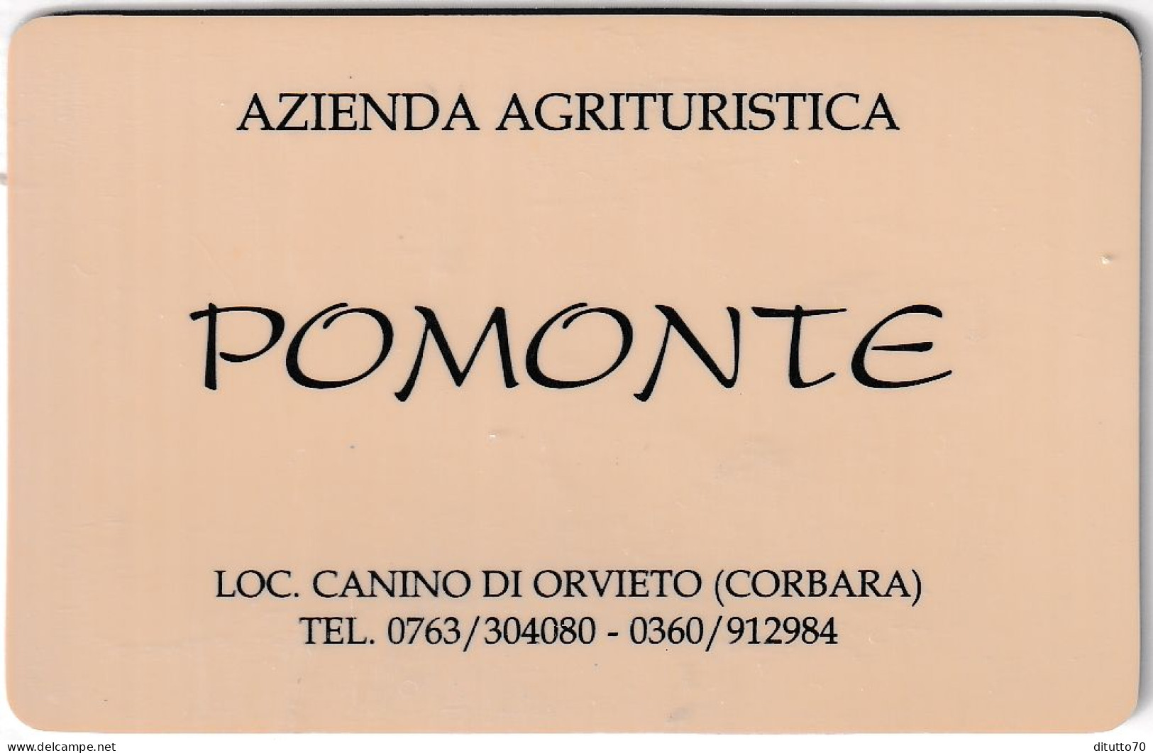 Calendarietto - Azienda Agrituristica - Pomonte - Loc.canino Di Orvietto  - Corbara - Anno 1998 - Petit Format : 1991-00