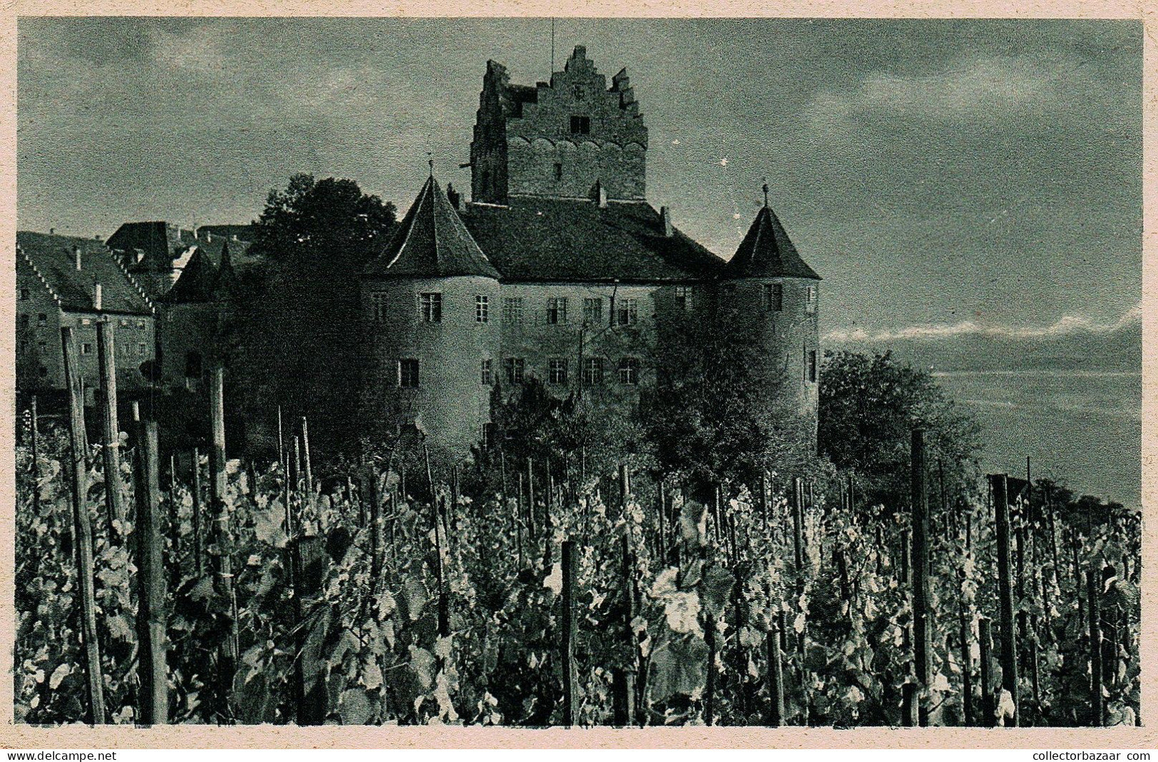 Meersburg Am Bodensee Castle Vines Grape - Castles