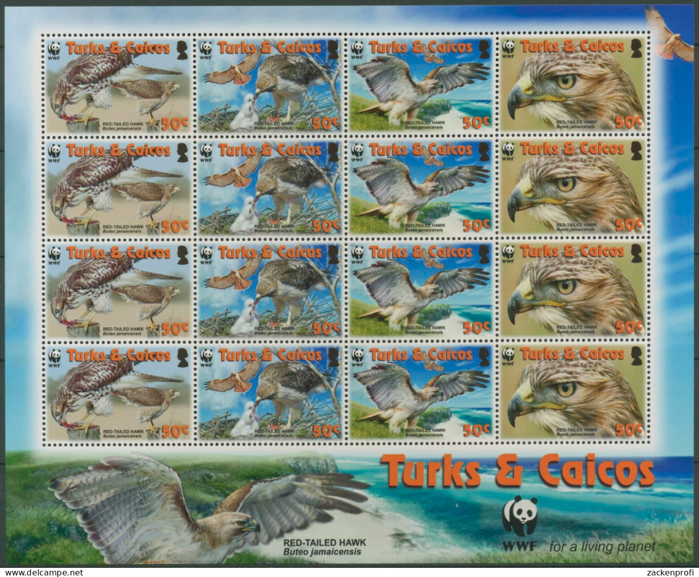 Turks- U. Caicos-Inseln 2007 WWF Bussard 1853/56 ZD-Bogen Postfrisch (SG13072) - Turcas Y Caicos