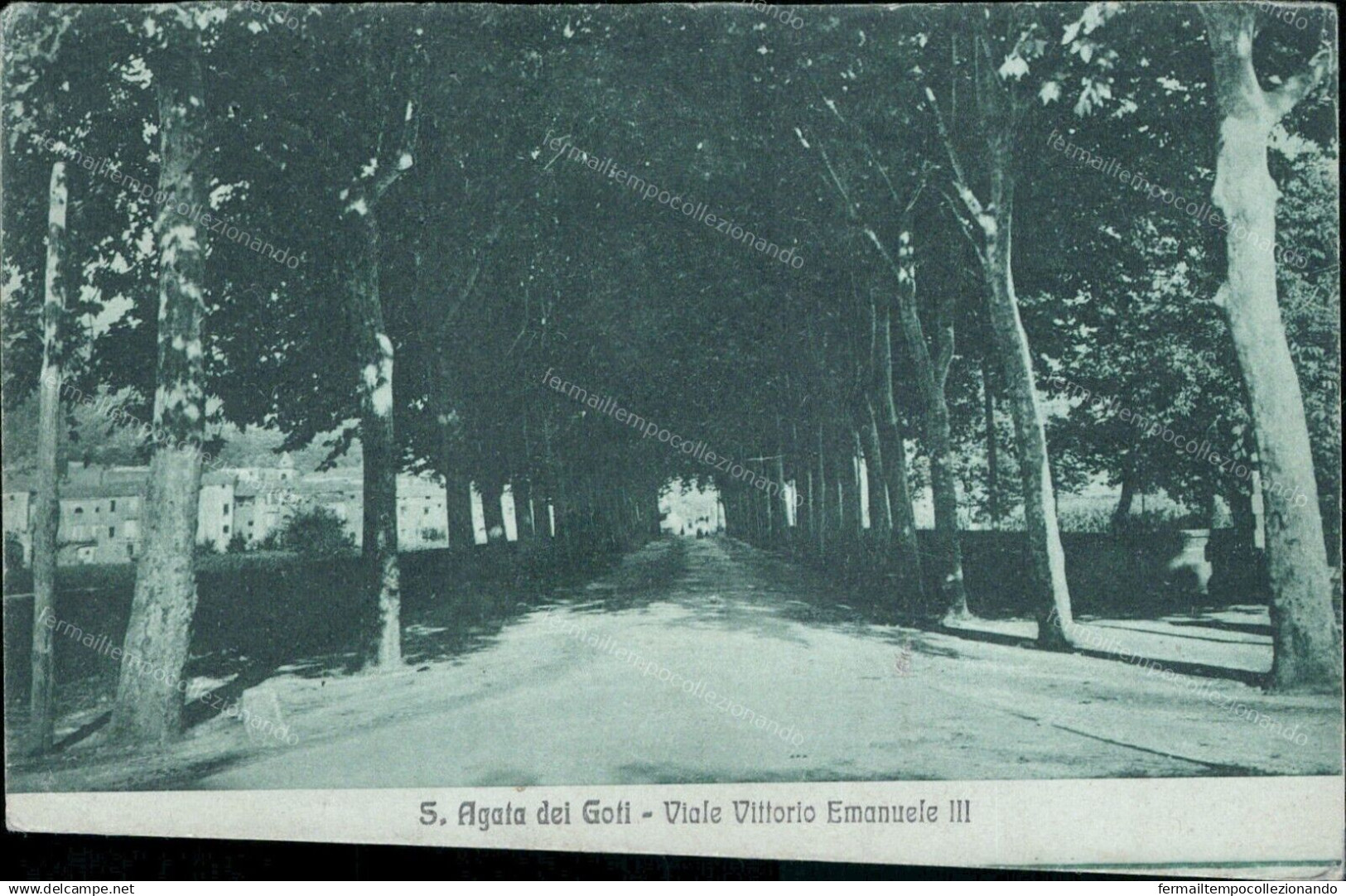 Cr32 Cartolina S.agata Dei Goti Viale Vittorio Emanuele Rifilata Benevento - Benevento